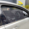 Holden Commodore Calaise Sun Shade